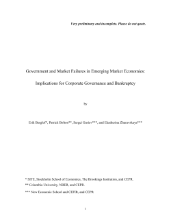 Government and Market Failures in Emerging Market Economies
