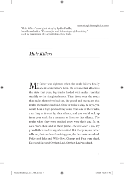 Mule Killers - Story in Literary Fiction