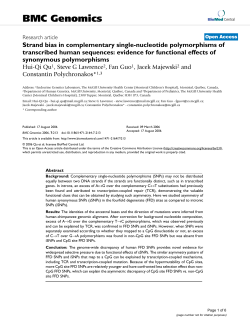 Strand bias in complementary single