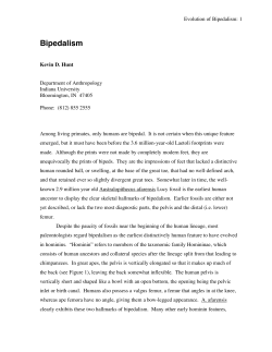 Bipedalism - Indiana University Bloomington