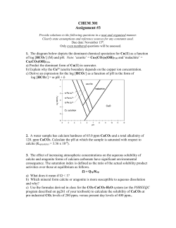 Assignment #3