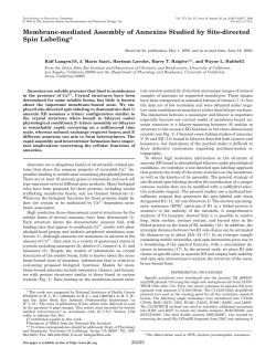 Membrane-mediated Assembly of Annexins Studied by Site