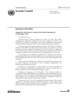 Security Council Resolution 1966 - Mechanism for International