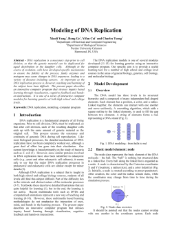 Modeling of DNA Replication