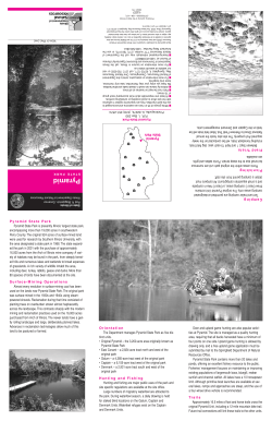 Pyramid Brochure - Illinois Muskies