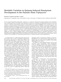 Heritable Variation in Quinone-Induced Haustorium Development in