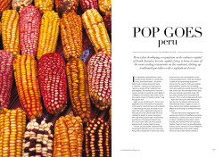 Pop Goes Peru - Nicholas