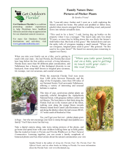 Family Nature Date: Pictures of Pitcher Plants