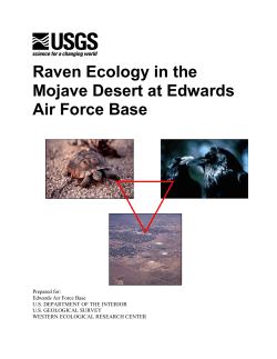 Raven Ecology in the Mojave Desert at Edwards Air Force Base