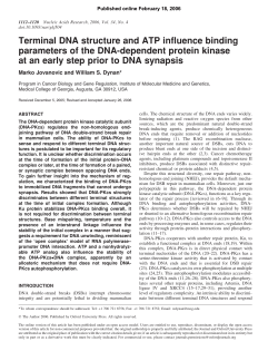 Terminal DNA structure and ATP influence
