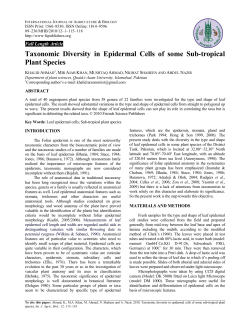 Taxonomic Diversity in Epidermal Cells of some Sub