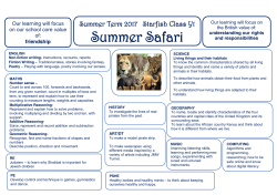 Starfish Year 1 Topic Web Summer 2017