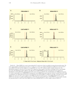 Supporting Information
