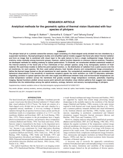 Analytical methods for the geometric optics of thermal vision