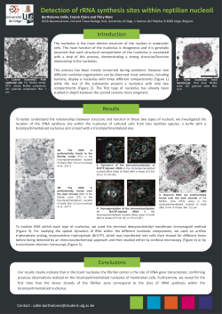 Poster BCZ 2014 - Odile BARTHOLOME - ORBi
