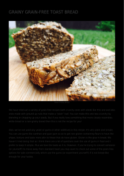 Grainy Grain-Free Toast Bread,Paleo Porridge