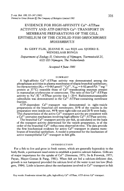 EVIDENCE FOR HIGH-AFFINITY Ca