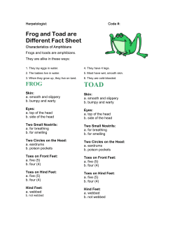 Frog Jumping Worksheets