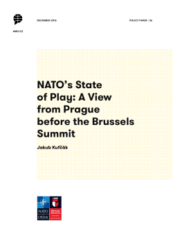 NATO`s State of Play: A View from Prague before the Brussels Summit