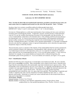 Lab 6 Metamorphic