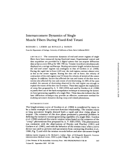 Intersarcomere Dynamics of Single Muscle Fibers During Fixed