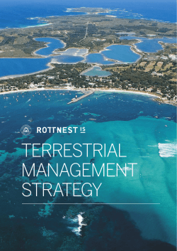 terrestrial management strategy