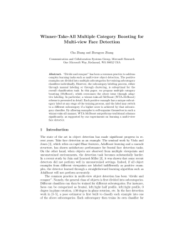 Winner-Take-All Multiple Category Boosting for Multi