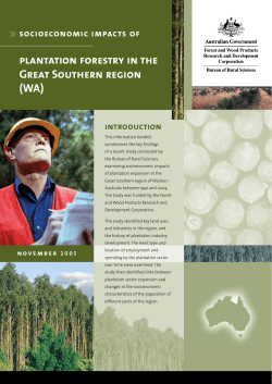 plantation forestry in the Great Southern region (WA)