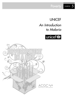 UNICEF An Introduction to Malaria Poverty 5
