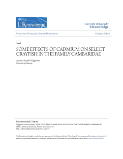 some effects of cadmium on select crayfish in the
