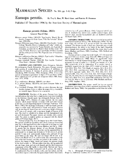 :MAMMALIAN SPECIES No. 534, pp. 1