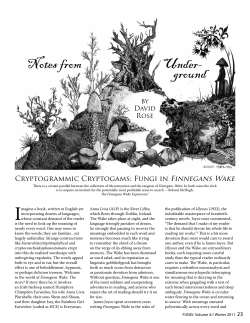 Notes from Underground