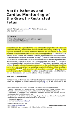 Aortic Isthmus and Cardiac Monitoring of the Growth
