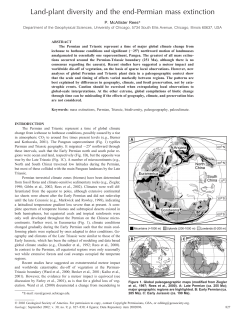 Land-plant diversity and the end