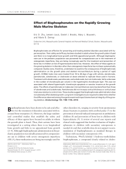 Effect of Bisphosphonates on the Rapidly Growing Male Murine