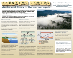 stocks and flows in the carbon cycle