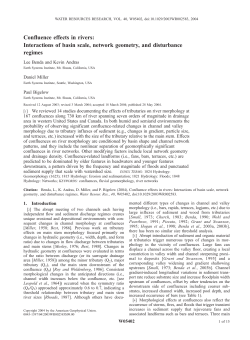 Confluence effects in rivers