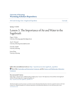 The Importance of Air and Water to the Sagebrush