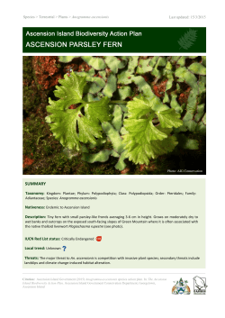 summary - Ascension Island