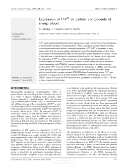 Expression of PrP on cellular components of sheep blood