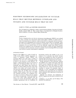 ELECTRON MICROSCOPE LOCALIZATION OF NUCLEAR RNA`S