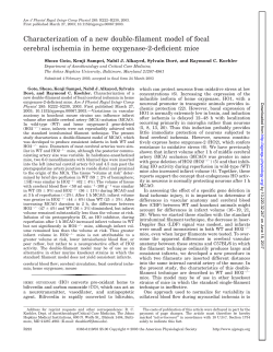 Characterization of a new double-filament model of focal cerebral