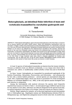 Heterophysiasis, an intestinal fluke infection of man and vertebrates
