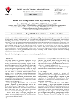 Normal bone healing in three cloned dogs with