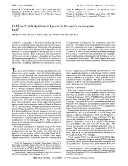 Cell-free protein synthesis in lysates of