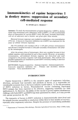 Immunokinetics of equine herpesvirus 1 in donkey mares