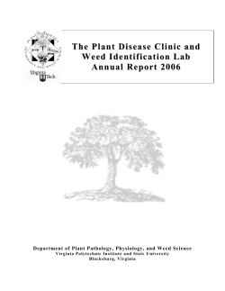 2006 (PDF | 495KB) - Department of Plant Pathology, Physiology