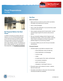 The National Flood Insurance Program | FEMA.gov