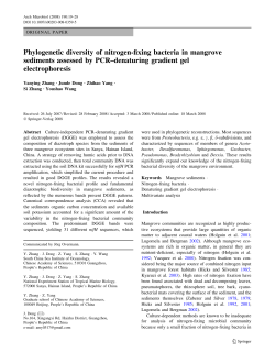 Phylogenetic diversity of nitrogen