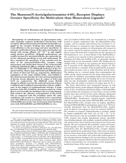 The Mannose/N-Acetylgalactosamine-4-SO4 Receptor